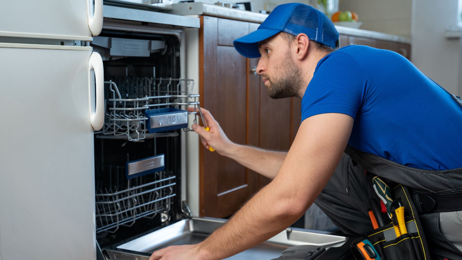 Dishwasher Repair
